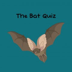 Bat Quiz, The (EU)