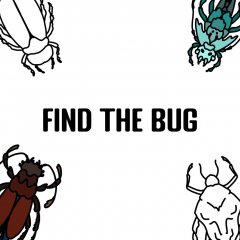 Find The Bug (EU)