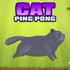 Cat Ping Pong (EU)