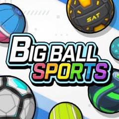 <a href='https://www.playright.dk/info/titel/big-ball-sports'>Big Ball Sports</a>    24/30