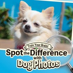 Train Your Brain! Spot The Difference With Dog Photos (EU)