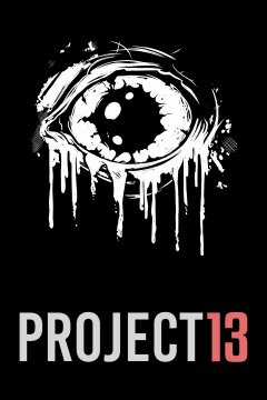 Project 13 (EU)