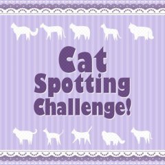 Cat Spotting Challenge! (EU)