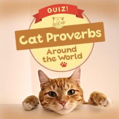 Quiz! Cat Proverbs Around the World (EU)