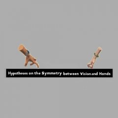 Hypotheses On The Symmetry Between Vision And Hands (EU)