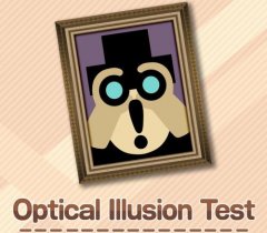 Optical Illusion Test (EU)
