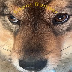Snoot Booper (EU)