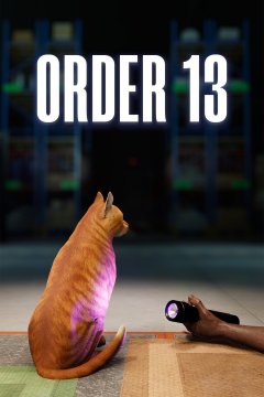 Order 13 (EU)