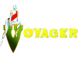 Voyager (AMI)   © Ocean 1989    1/1