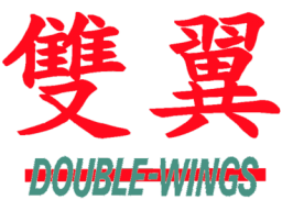 Double Wings (ARC)   © Data East 1993    1/1