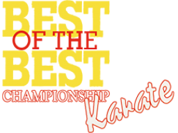 Best Of The Best: Championship Karate (SNES)   © Electro Brain 1992    1/1