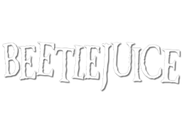 Beetlejuice (NES) &nbsp; &copy; LJN 1991 &nbsp;  1/1