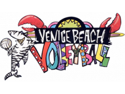 Venice Beach Volleyball (NES)   © American Video Entertainment 1991    1/1
