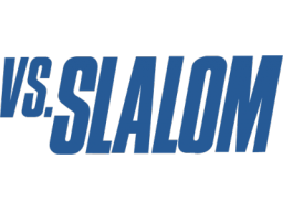 Vs. Slalom (ARC)   © Nintendo 1986    1/1