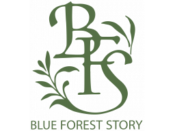 Blue Forest Story (PS1)   © Right Stuff 1996    1/1