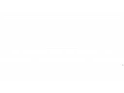 Ultrawings (PS4)   © Perp 2019    1/1