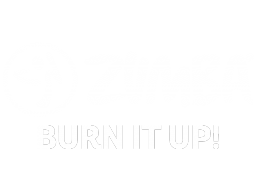 Zumba Burn It Up! (NS) &nbsp; &copy; 505 Games 2019 &nbsp;  1/1