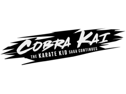 Cobra Kai: The Karate Kid Saga Continues (PS4)   © GameMill 2020    1/1