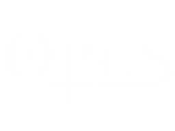 Opus Castle (PC)   © QUByte 2021    1/1