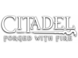 Citadel: Forged With Fire (XBO)   © Blue Isle 2019    1/1