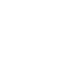 The Valiant (PC)   © THQ Nordic 2022    1/1