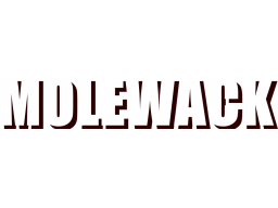 Molewack (PS4)   © Zazenfly 2024    1/1