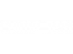 Chimp Test (PS5)   © Webnetic 2024    1/1