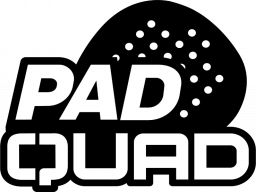 Pad Quad (PS4)   © Afil 2025    1/1