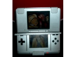 Nintendo DS Display EU (NDS)   © Nintendo 2006    5/7