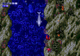 Ecco The Dolphin (SMD)   © Sega 1993    5/5