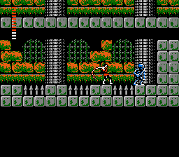 Castlevania II: Simon's Quest (NES)   © Konami 1988    5/13