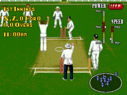 Brian Lara Cricket (SMD)   © Codemasters 1995    3/3