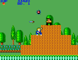 My Hero (SMS)   © Sega 1986    5/6