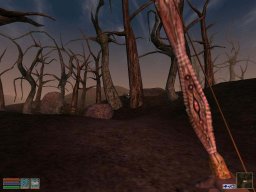 The Elder Scrolls III: Morrowind (PC)   © Ubisoft 2002    5/6