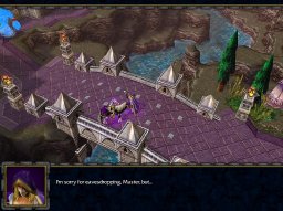 Warcraft III: Reign Of Chaos (PC)   © VU Games 2002    2/5