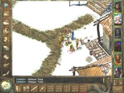 Icewind Dale (PC)   © Interplay 2000    2/3