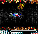 R-Type DX (GBC)   © Nintendo 1999    4/20