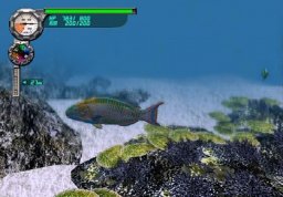 Everblue (PS2)   © Capcom 2001    1/4