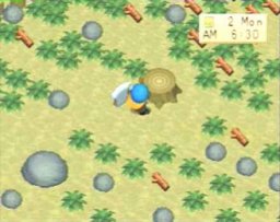 Harvest Moon: Back To Nature (PS1)   © Natsume 1999    1/3