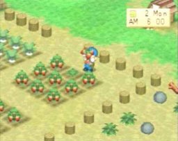 Harvest Moon: Back To Nature (PS1)   © Natsume 1999    2/3