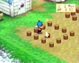 Harvest Moon: Back To Nature (PS1)   © Natsume 1999    3/3