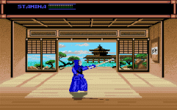 Budokan: The Martial Spirit (AMI)   © EA 1990    1/1