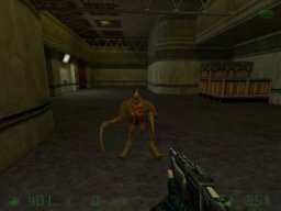 Half-Life: Opposing Force (PC)   © Sierra 1999    2/3