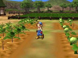 Harvest Moon: Save The Homeland (PS2)   © Crave 2001    1/3