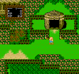 Willow (1991) (NES)   © Capcom 1989    2/3