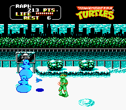 Teenage Mutant Ninja Turtles: The Arcade Game (NES)   © Konami 1990    3/3