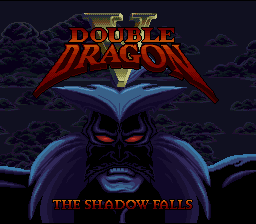 Double Dragon V: The Shadow Falls (SNES)   © Tradewest 1994    1/3