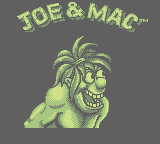 Joe & Mac: Caveman Ninja (GB)   © Elite 1993    1/3