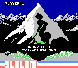 Slalom (1987) (NES)   © Nintendo 1987    2/3