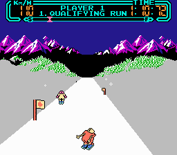 Slalom (1987) (NES)   © Nintendo 1987    3/3